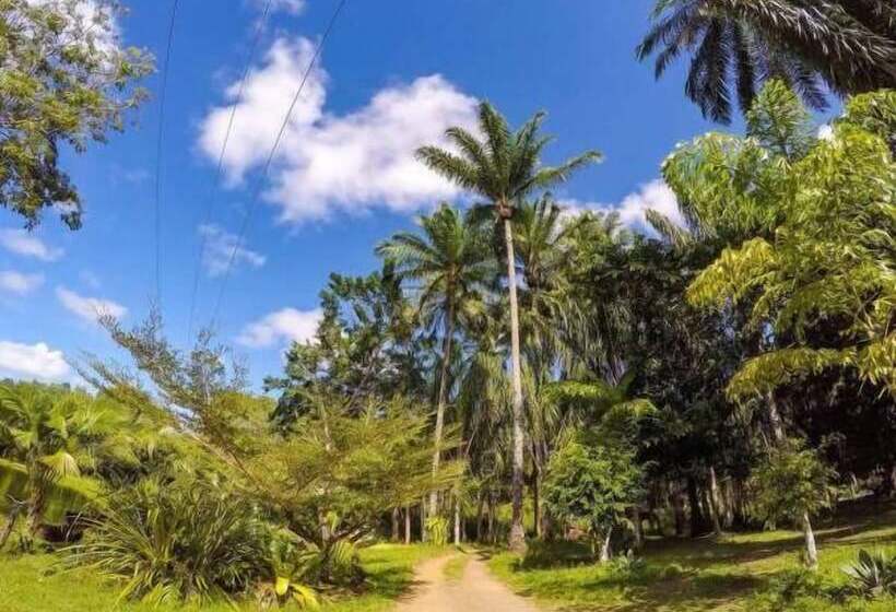 Paraíso Das águas Hotel Bahia