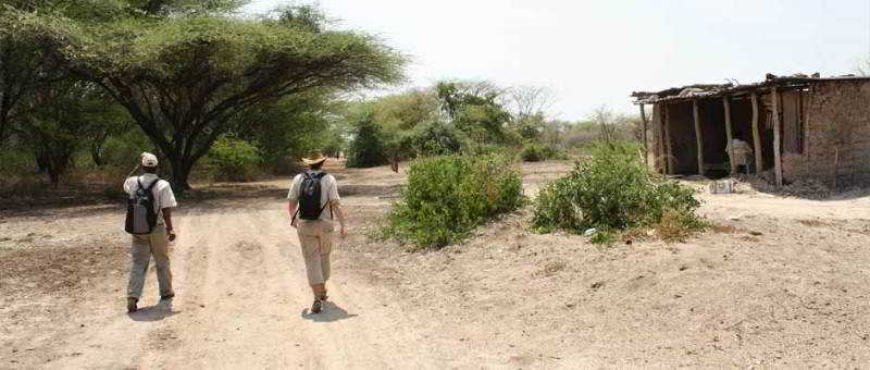 هتل Tilodi Safari Lodge