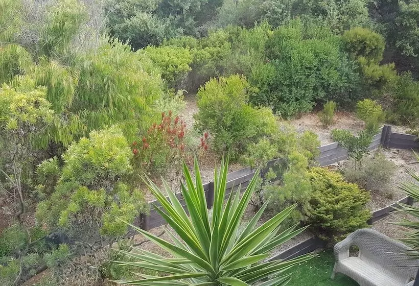 فندق Venus Escapes Guesthouse