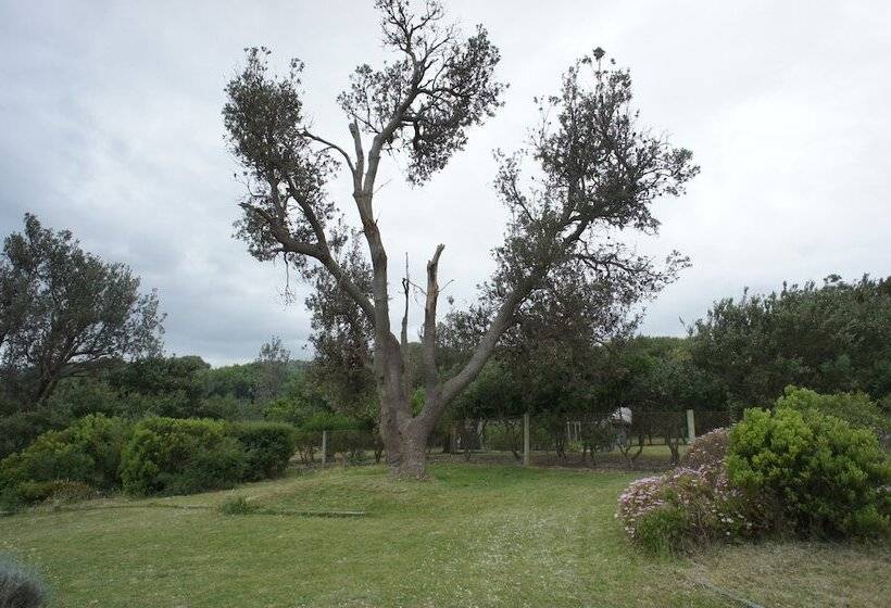 Hotel Venus Escapes Guesthouse