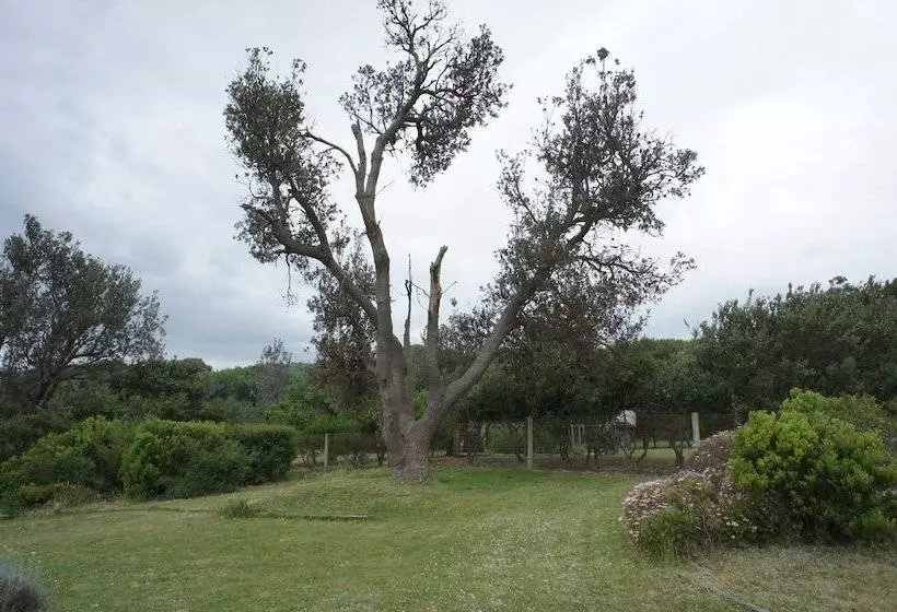 فندق Venus Escapes Guesthouse