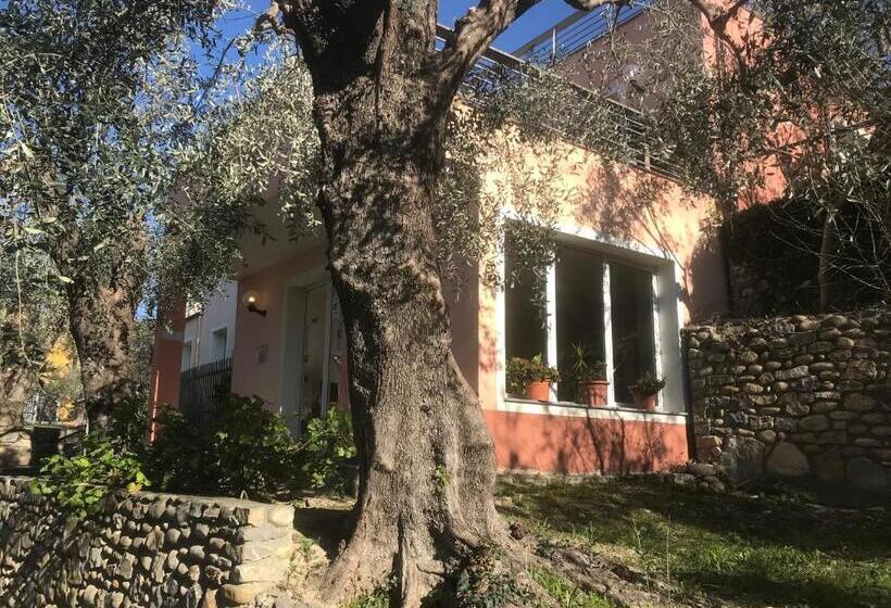 בית מלון כפרי Villaggio Rta Borgoverde