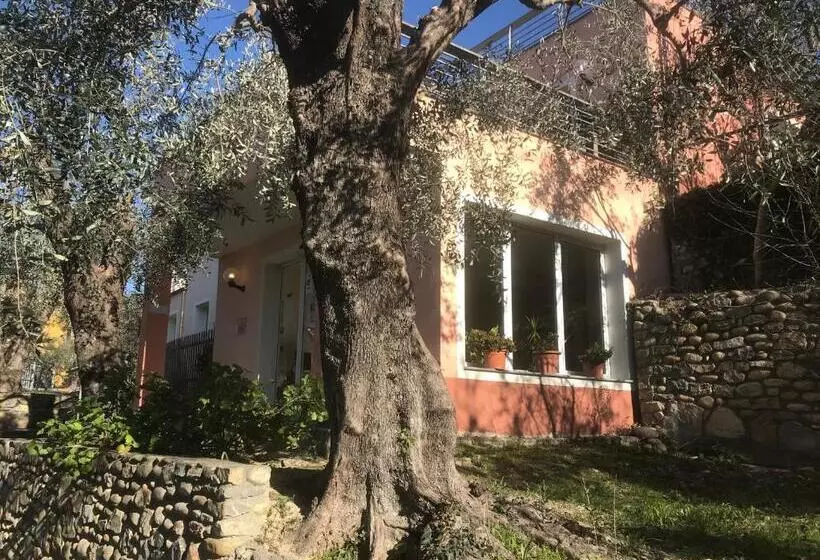 호텔 Villaggio Rta Borgoverde