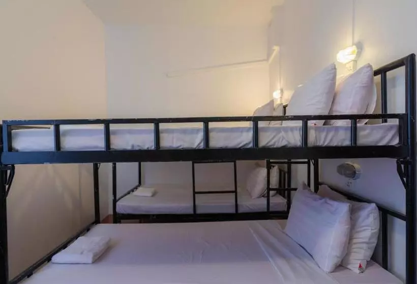 膳宿费 Five Rose Siem Reap Hostel