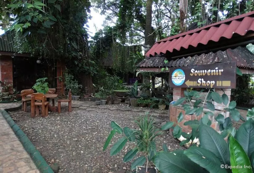 Alona Tropical Beach Resort