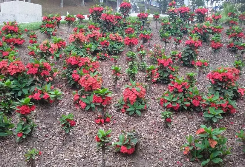 Europa Hotel Boutique Manizales