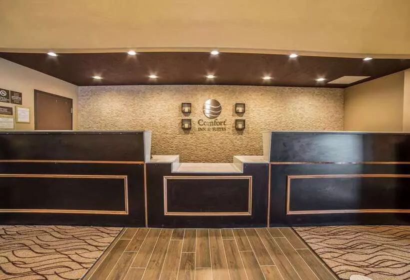 ホテル Comfort Inn & Suites Vernal  National Monument Area