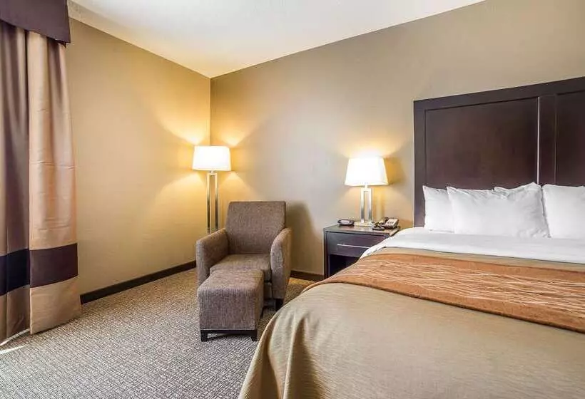 ホテル Comfort Inn & Suites Vernal  National Monument Area