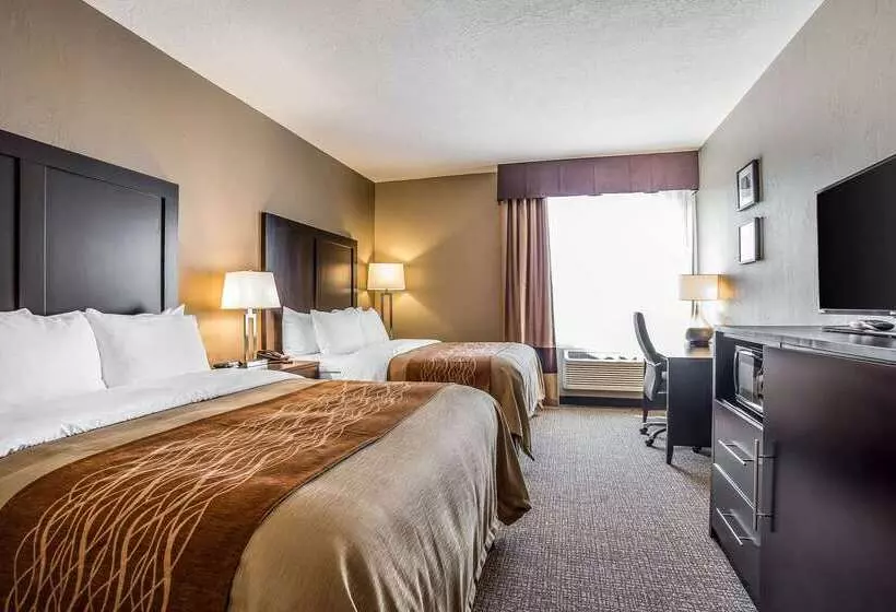 ホテル Comfort Inn & Suites Vernal  National Monument Area