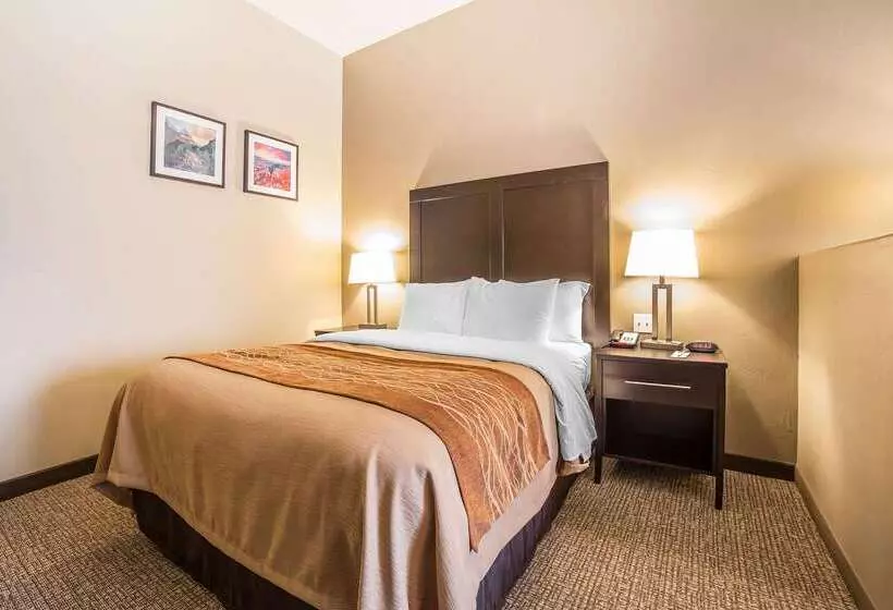 ホテル Comfort Inn & Suites Vernal  National Monument Area