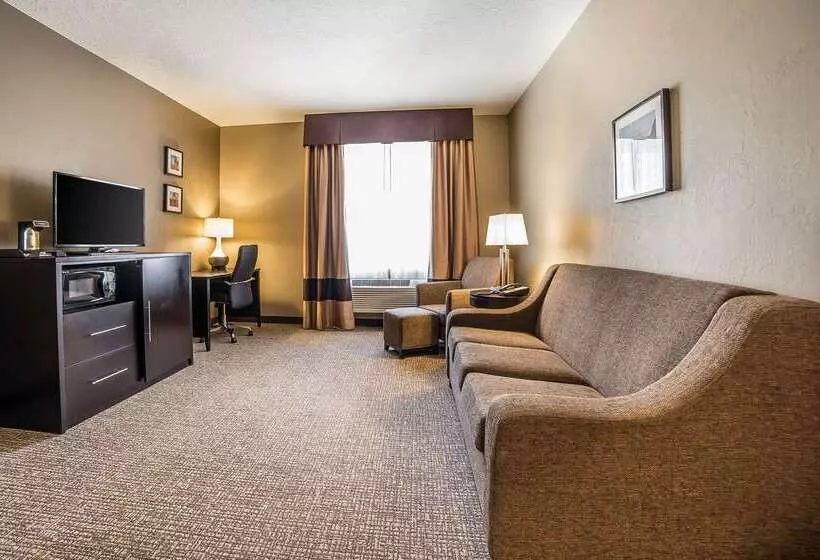 ホテル Comfort Inn & Suites Vernal  National Monument Area