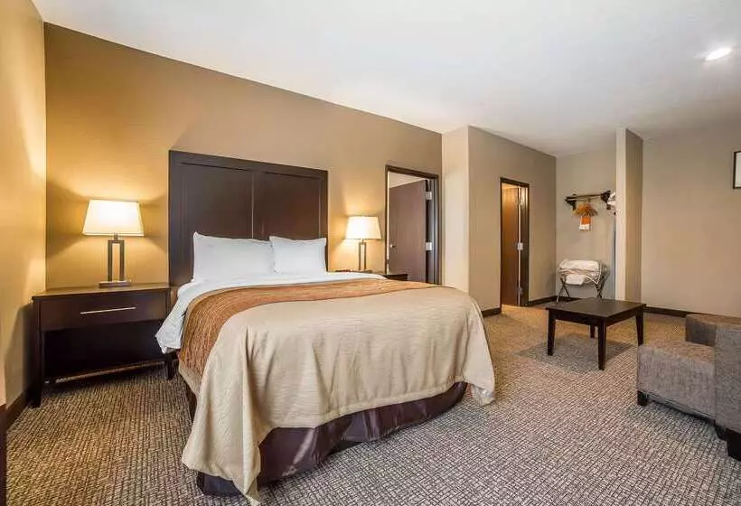 ホテル Comfort Inn & Suites Vernal  National Monument Area