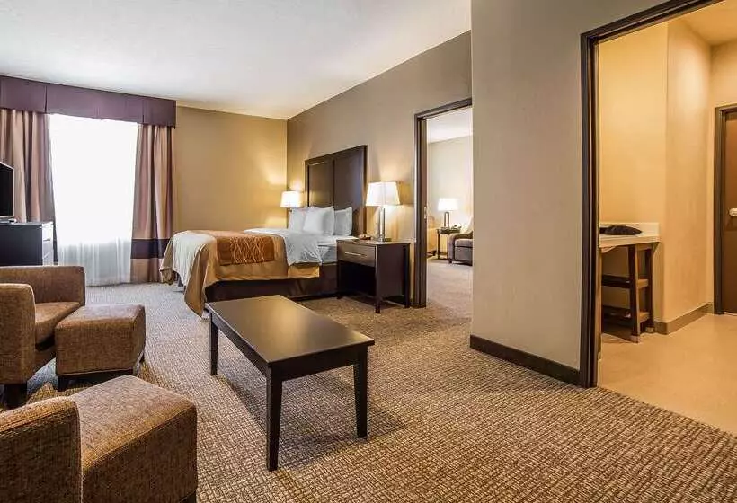 ホテル Comfort Inn & Suites Vernal  National Monument Area