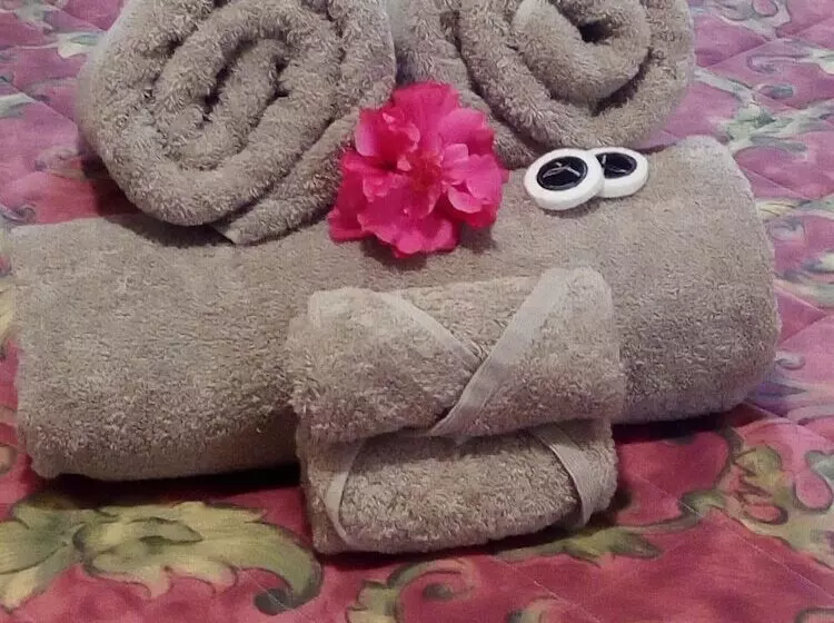 هتل Fletcher Christian Apartments