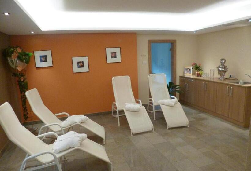 בית מלון כפרי Mair