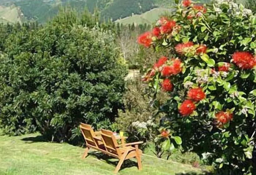 Отель Vista Del Sol