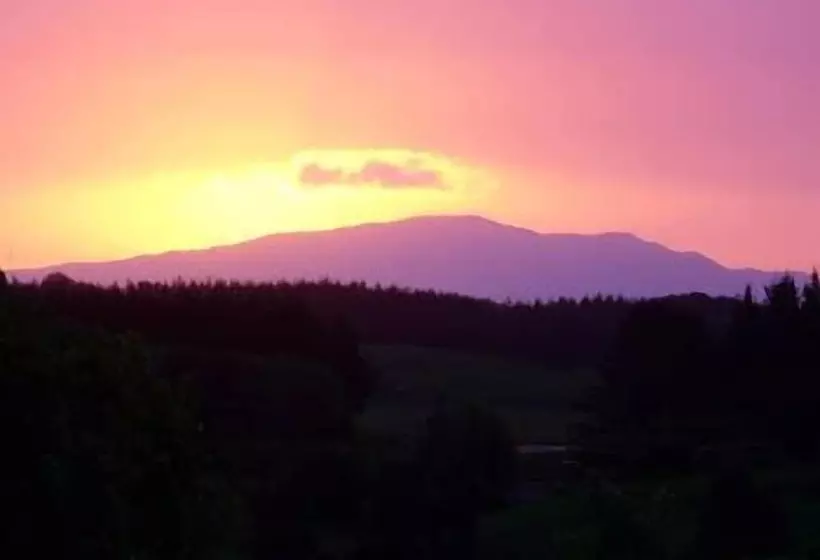 Отель Vista Del Sol