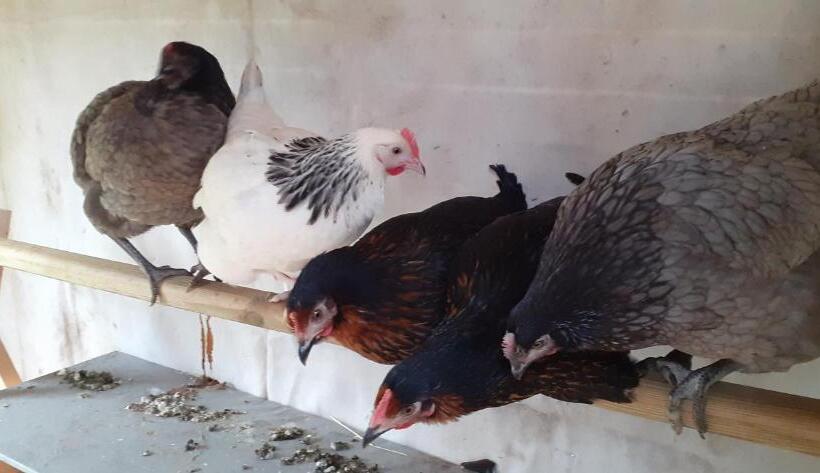 צימר Les Chambres Du Ladoux