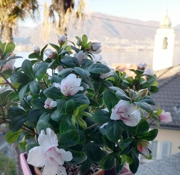 ホテル Albergo Ristorante Al Portico