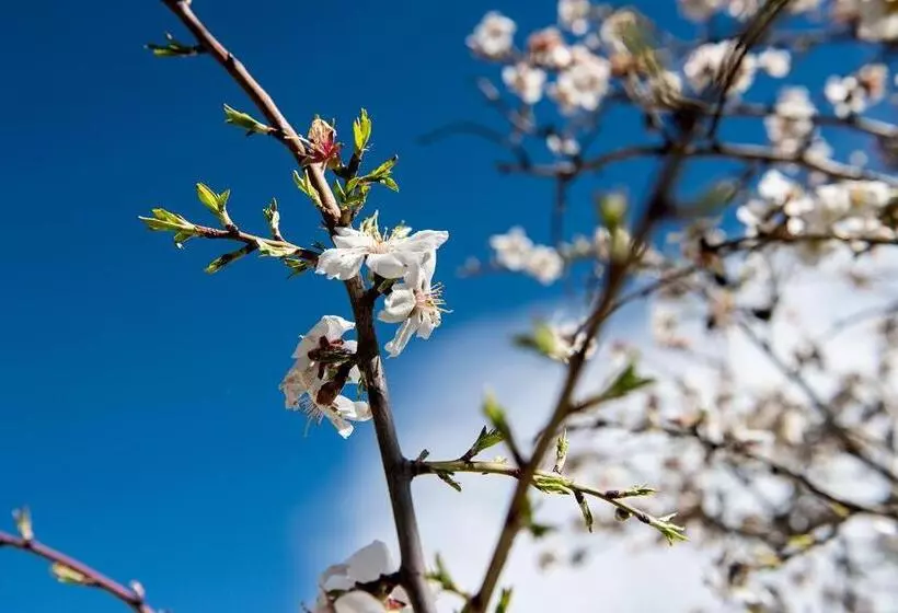 ホテル Antico Resort Cerasella