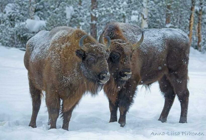 호텔 Ervastin Lomat