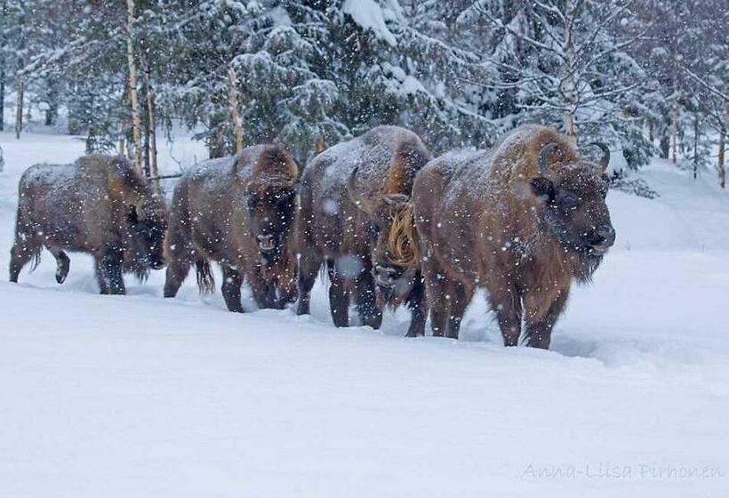 호텔 Ervastin Lomat