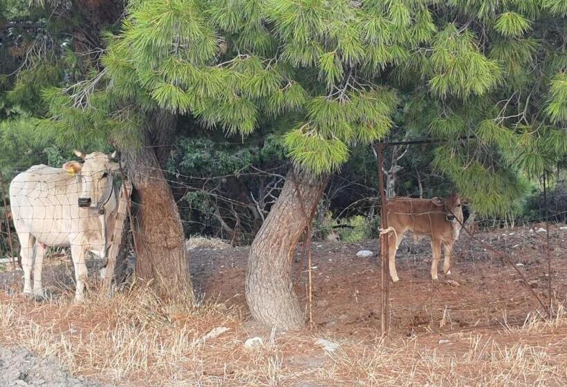 בית מלון כפרי Masseria Sacramento