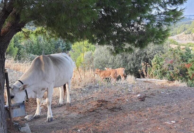 בית מלון כפרי Masseria Sacramento