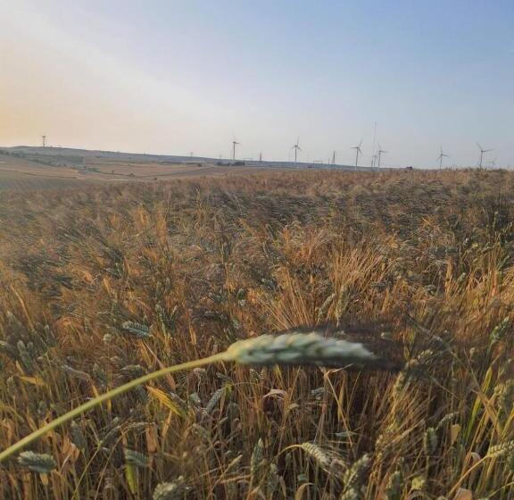 בית מלון כפרי Masseria Sacramento