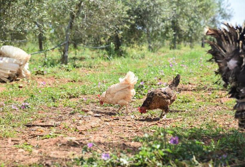 בית מלון כפרי Masseria Sacramento