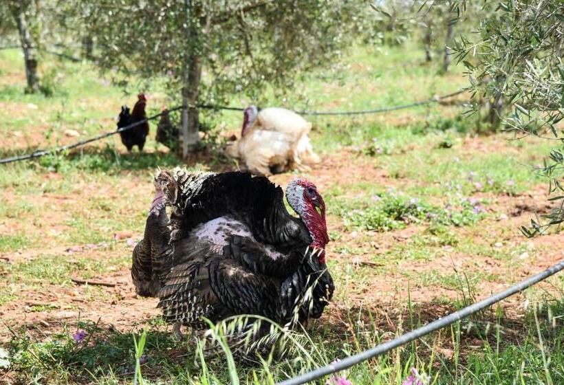 בית מלון כפרי Masseria Sacramento