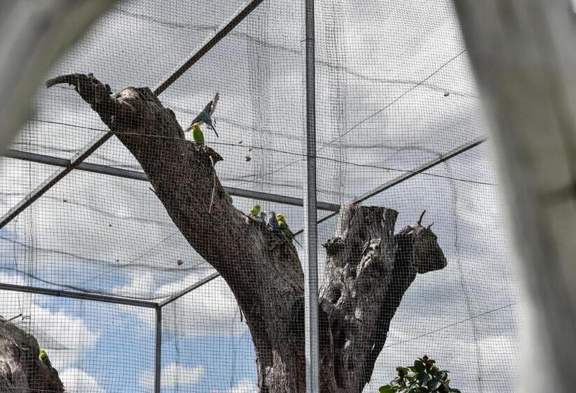 בית מלון כפרי Masseria Sacramento