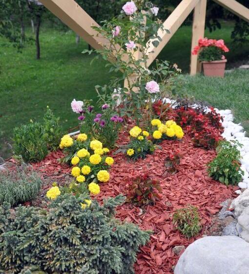 Majatalo Apartma Romana