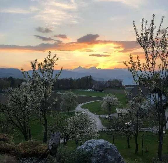 پانسیون Apartma Romana