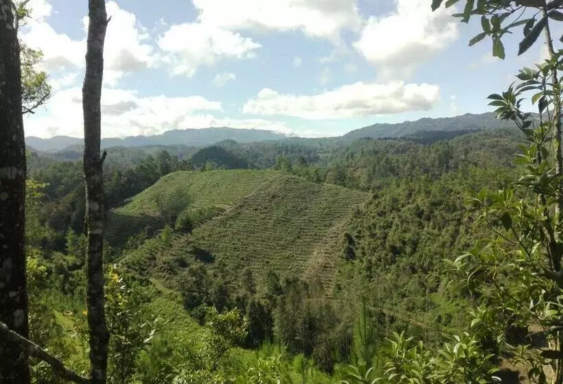 پانسیون Paraiso Verde