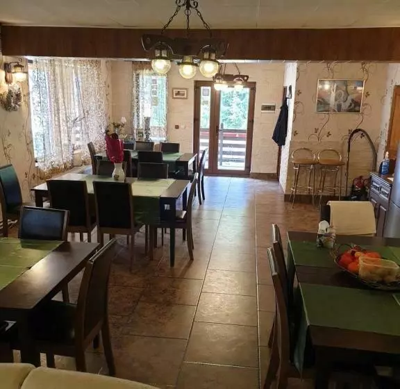 ペンション Vila Bianca Dragusin