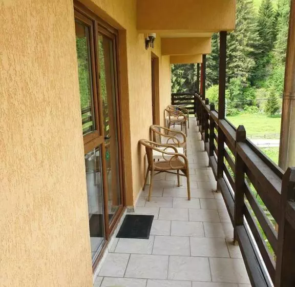 ペンション Vila Bianca Dragusin