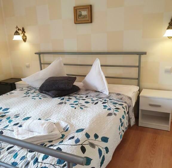 ペンション Vila Bianca Dragusin