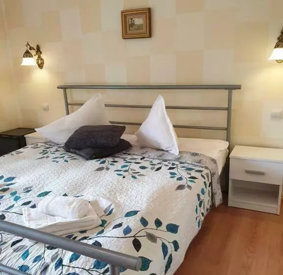 ペンション Vila Bianca Dragusin