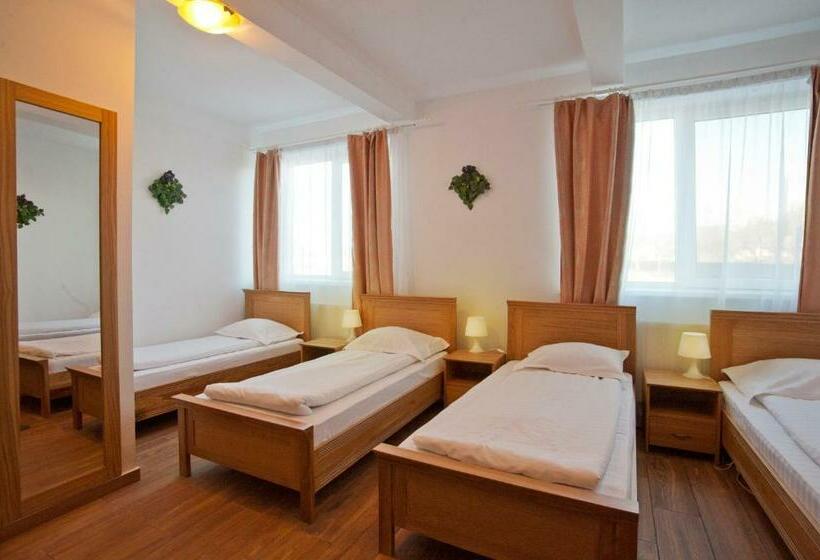 Pension Club Montana