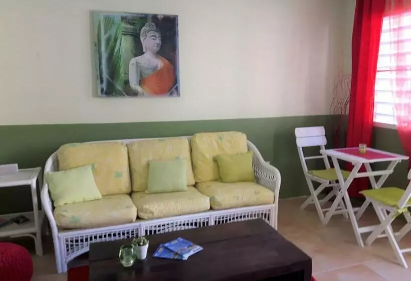 Sxm Spotters Paradise