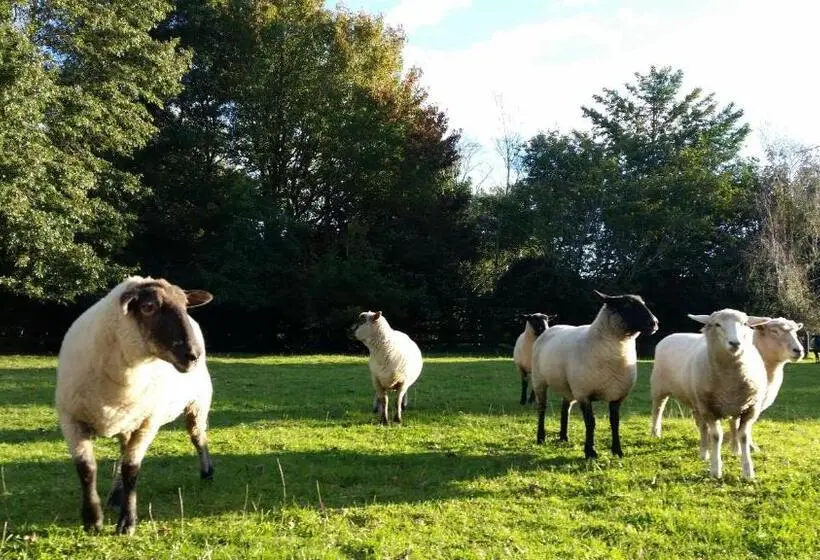 Woodbury Farm B&b