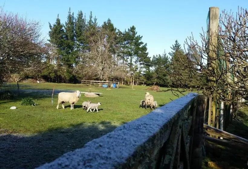 Woodbury Farm B&b