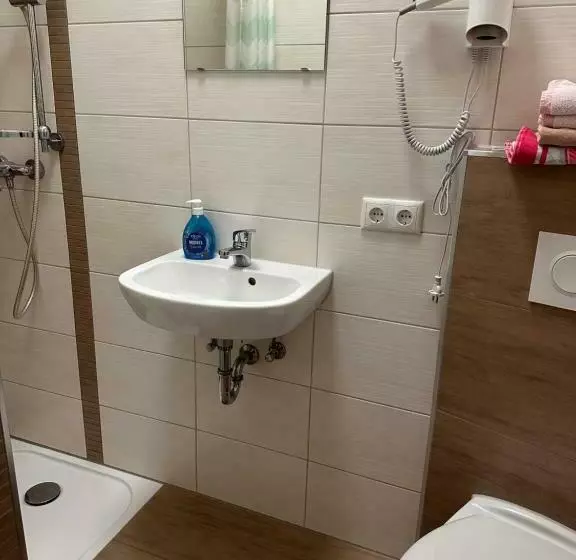 ユースホステル Gasthof „zum Schwan“