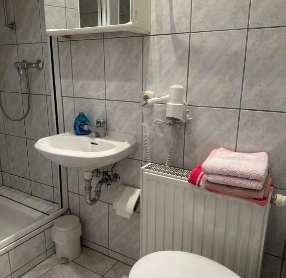 فندق صغير Gasthof „zum Schwan“