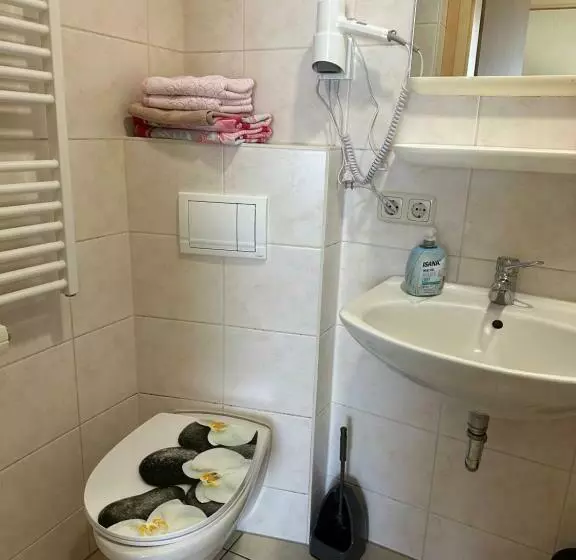 ユースホステル Gasthof „zum Schwan“