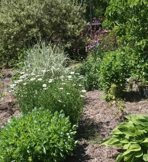 Aamiaismajoitus (B&B) La Main Ouverte