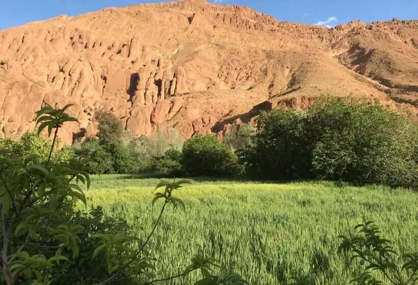 Aamiaismajoitus (B&B) Maison D Hote Amazir