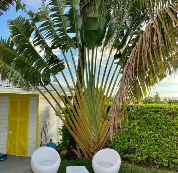 تختخواب و صبحانه Villa Belle Vue, Chambre Bambous
