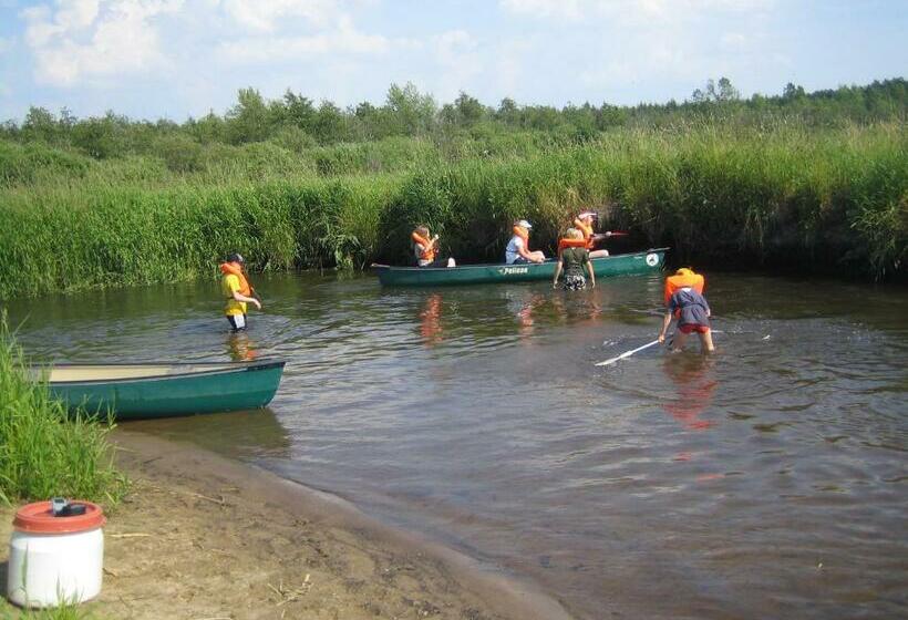 モーテル Treene Camp Horn